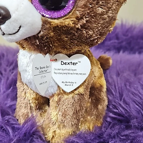TY, Dexter, The Beanie Boo Collection - Picture 4 of 7